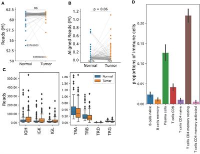 Characterization of the Intra-tumoral B Cell Immunoglobulin Repertoire Is of Prognostic Value for Esophageal Squamous Cell Carcinoma